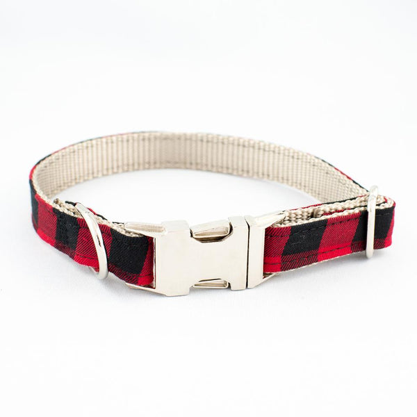 Pet Collars