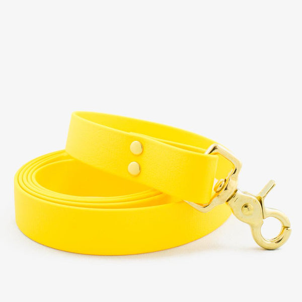 Waterproof Vegan Leash